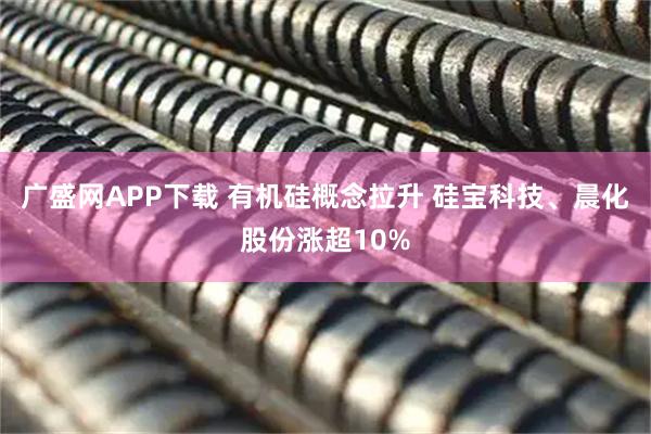 广盛网APP下载 有机硅概念拉升 硅宝科技、晨化股份涨超10%