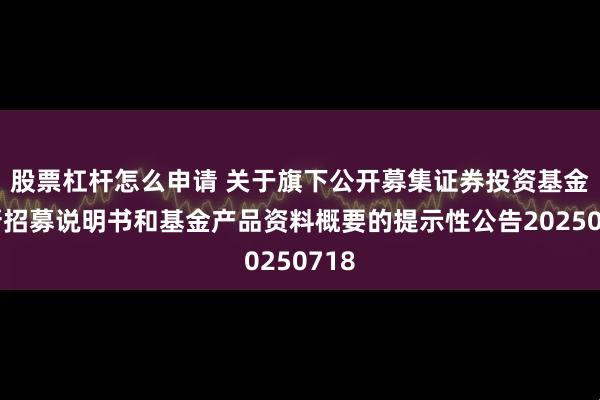 股票杠杆怎么申请 关于旗下公开募集证券投资基金更新招募说明书和基金产品资料概要的提示性公告20250718