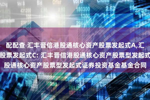 配配查 汇丰晋信港股通核心资产股票发起式A,汇丰晋信港股通核心资产股票发起式C: 汇丰晋信港股通核心资产股票型发起式证券投资基金基金合同