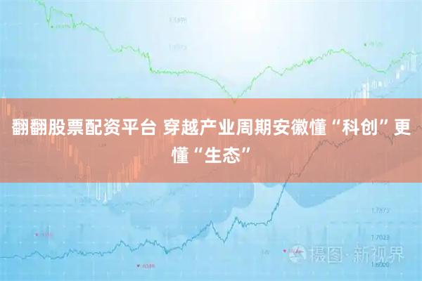 翻翻股票配资平台 穿越产业周期安徽懂“科创”更懂“生态”
