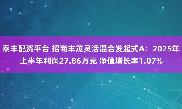 泰丰配资平台 招商丰茂灵活混合发起式A：2025年上半年利润27.86万元 净值增长率1.07%