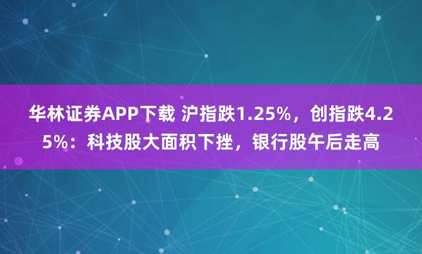 华林证券APP下载 沪指跌1.25%，创指跌4.25%：科技股大面积下挫，银行股午后走高