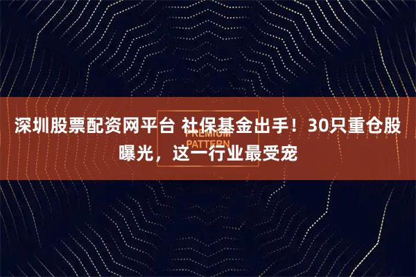 深圳股票配资网平台 社保基金出手！30只重仓股曝光，这一行业最受宠